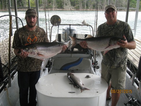 Nice Striped Bass